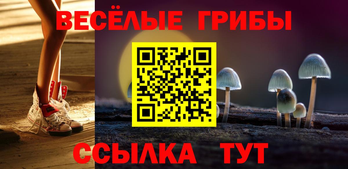 Псилоцибиновые грибы мухоморы  Вход с VPN  Абакан  Галлюциногенные грибы Psilocybine cubensis 
